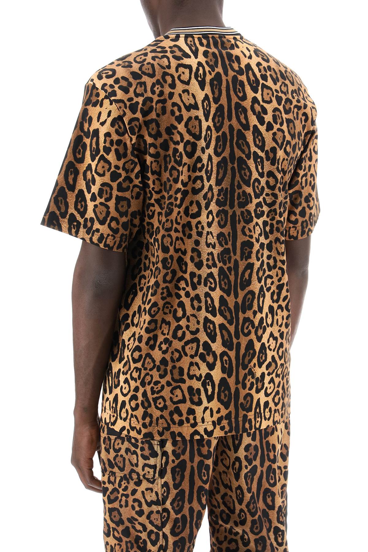 Dolce & Gabbana Dolce & gabbana leopard print t-shirt with