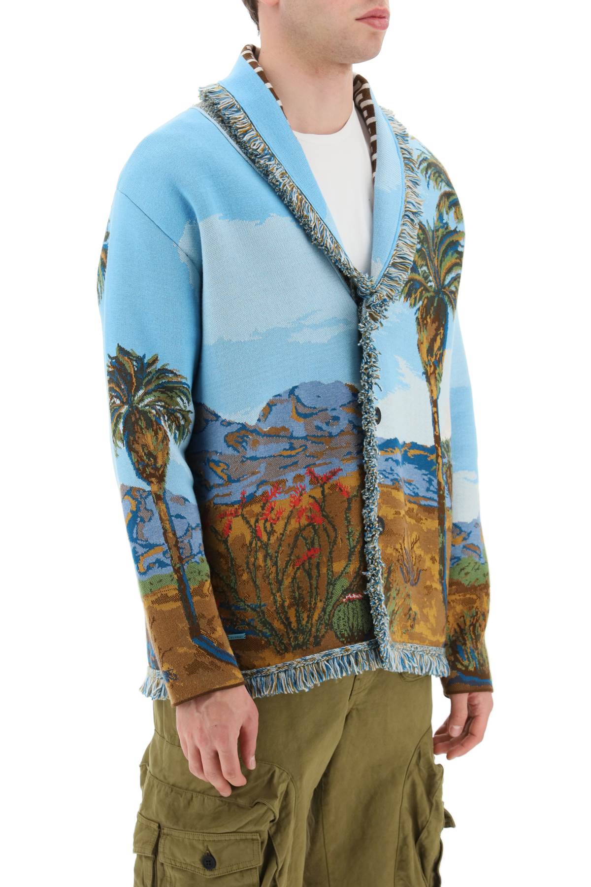 Alanui Alanui 'land of dreams' jacquard cardigan