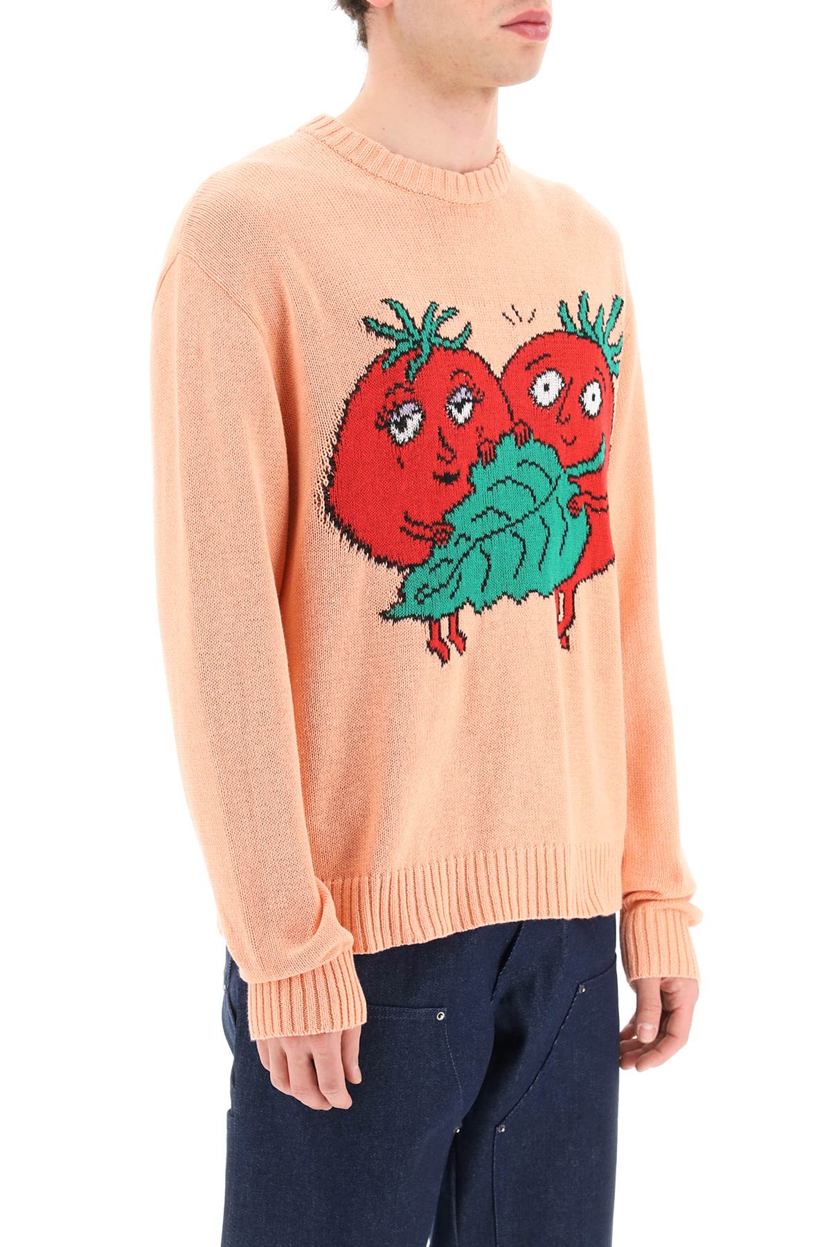 Sky High Farm Sky high farm 'happy tomatoes' cotton sweater