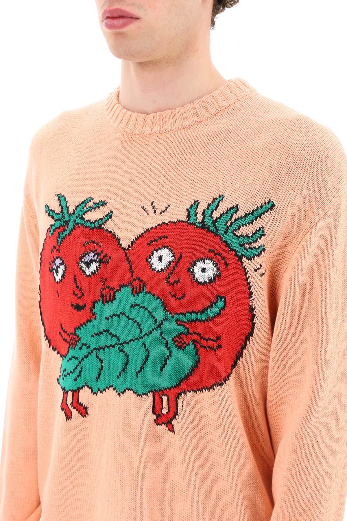 Sky High Farm Sky high farm 'happy tomatoes' cotton sweater