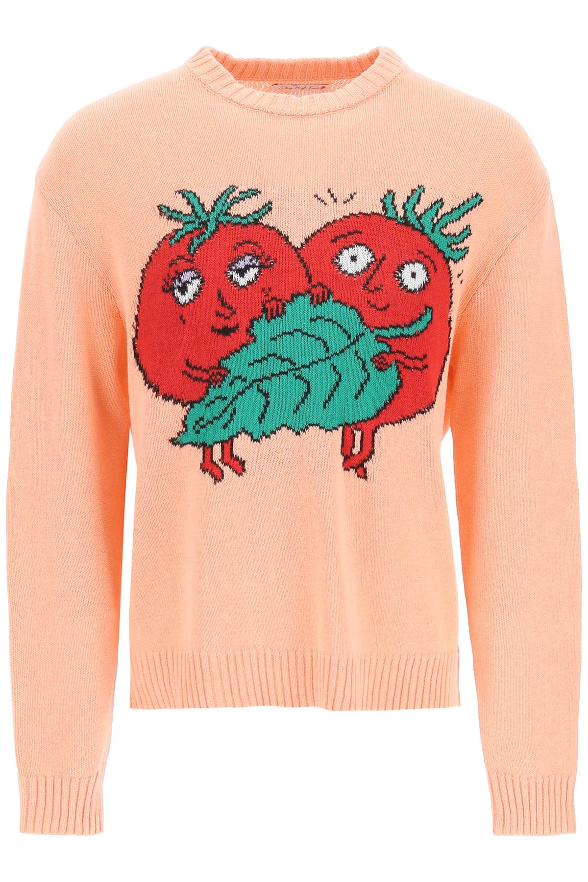 Sky High Farm Sky high farm 'happy tomatoes' cotton sweater